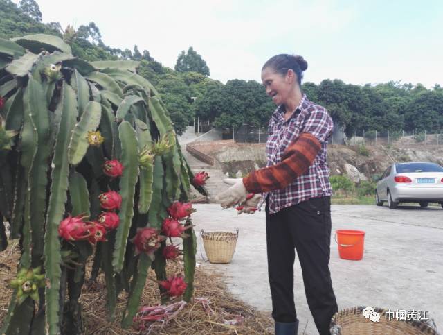 创业创新巾帼行动 黄江镇妇联引领户籍妇女拥抱“互联网+”家禽养殖新蓝海